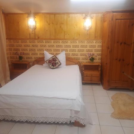 Apartament Pe Malul Raului Bega ティミショアラ エクステリア 写真