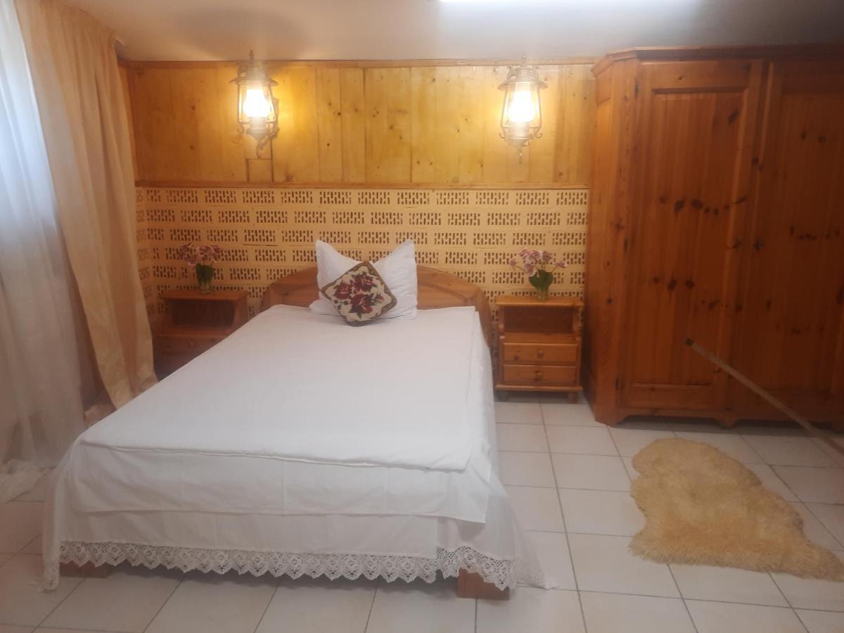 Apartament Pe Malul Raului Bega ティミショアラ エクステリア 写真